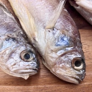 일정한 간이 되어 있어 건강도 맛도 사로잡은 손질된 국내산 두절조기 10미/20미