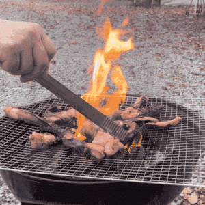 [건어물녀]오대발 통족 200g 대왕 가문어 +아이스포장